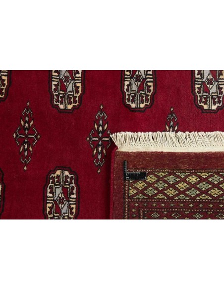 Hand made rug Bukhara fine Pakistan cm.170x247
