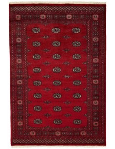 Hand made rug Bukhara fine Pakistan cm.170x252