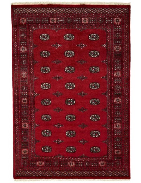 Hand made rug Bukhara fine Pakistan cm.170x252