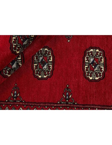 Hand made rug Bukhara fine Pakistan cm.170x252