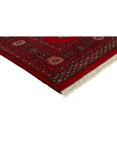 Hand made rug Bukhara fine Pakistan cm.170x252
