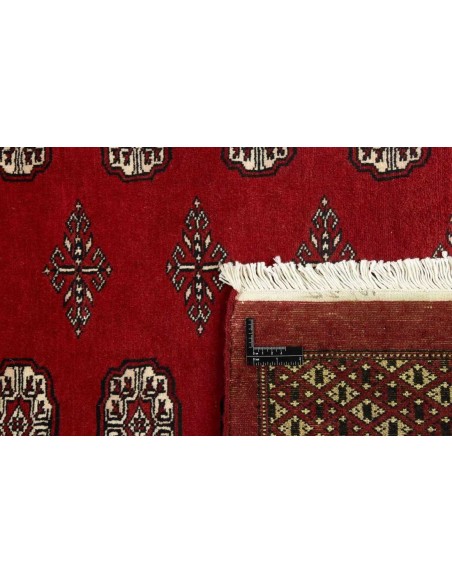 Hand made rug Bukhara fine Pakistan cm.167x233