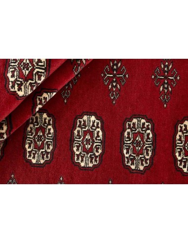 Hand made rug Bukhara fine Pakistan cm.167x233