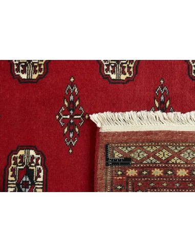 Hand made rug Bukhara fine Pakistan cm.170x245