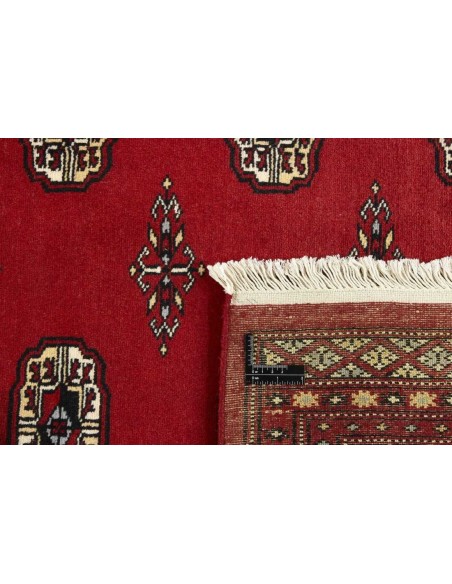 Hand made rug Bukhara fine Pakistan cm.170x245