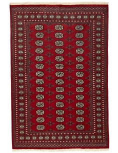 Hand made rug Bukhara fine Pakistan cm.168x248