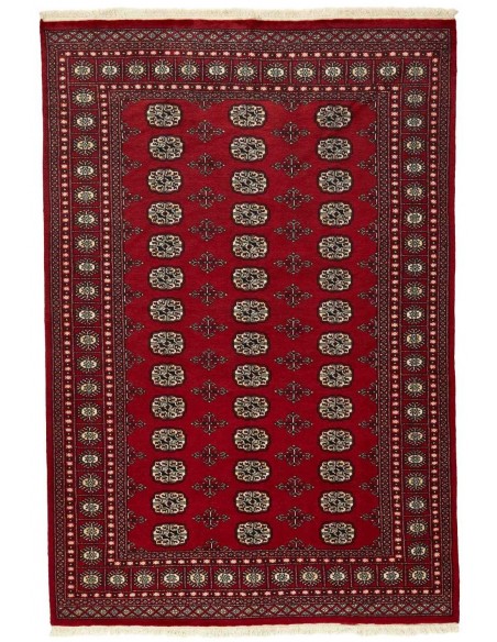 Hand made rug Bukhara fine Pakistan cm.168x248