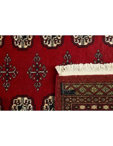 Hand made rug Bukhara fine Pakistan cm.168x248
