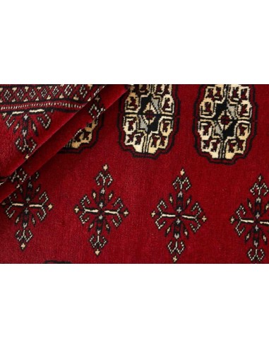 Hand made rug Bukhara fine Pakistan cm.168x248