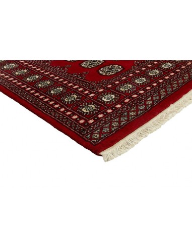 Hand made rug Bukhara fine Pakistan cm.168x248