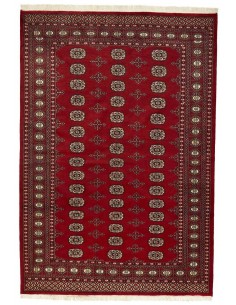 Hand made rug Bukhara fine Pakistan cm.169x245