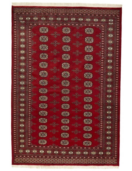 Hand made rug Bukhara fine Pakistan cm.169x245