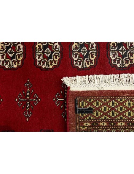 Hand made rug Bukhara fine Pakistan cm.169x245