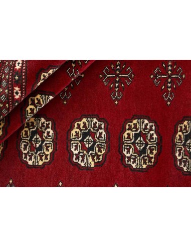 Hand made rug Bukhara fine Pakistan cm.169x245