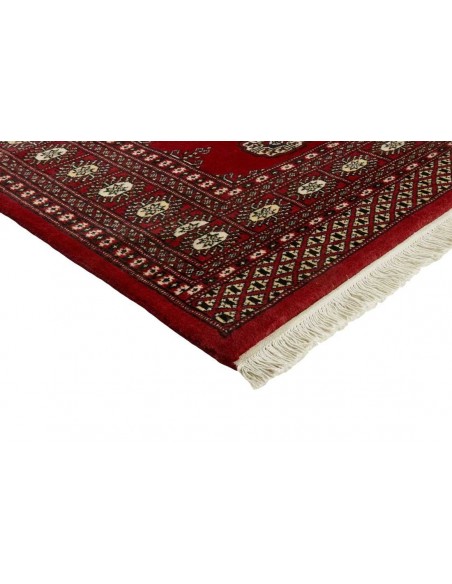 Hand made rug Bukhara fine Pakistan cm.169x245