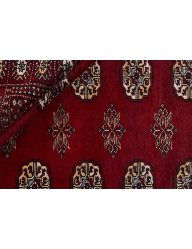 Hand made rug Bukhara fine Pakistan cm.166x245
