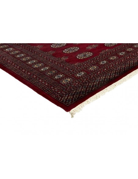 Hand made rug Bukhara fine Pakistan cm.166x245
