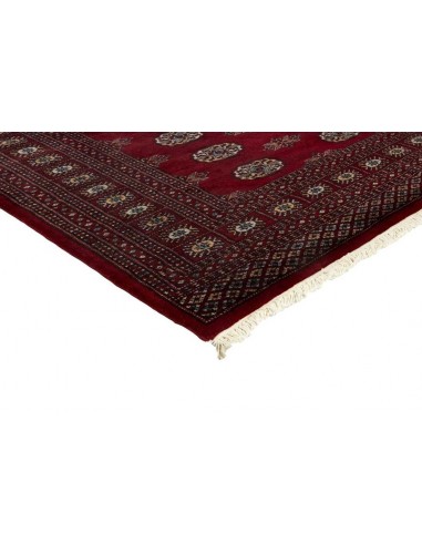 Hand made rug Bukhara fine Pakistan cm.166x245