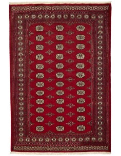 Hand made rug Bukhara fine Pakistan cm.168x249