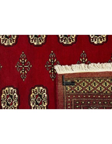 Hand made rug Bukhara fine Pakistan cm.168x249