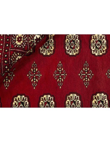 Hand made rug Bukhara fine Pakistan cm.168x249