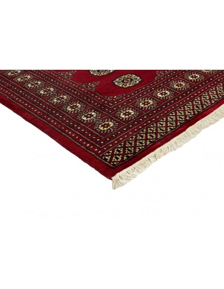 Hand made rug Bukhara fine Pakistan cm.168x249