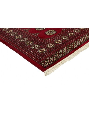Hand made rug Bukhara fine Pakistan cm.168x249