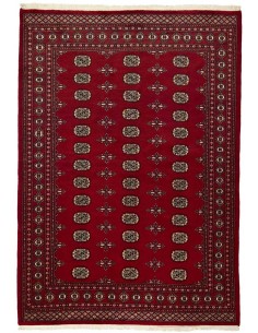 Hand made rug Bukhara fine Pakistan cm.173x245