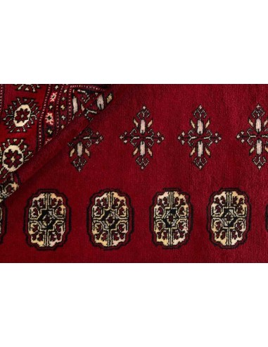 Hand made rug Bukhara fine Pakistan cm.173x245