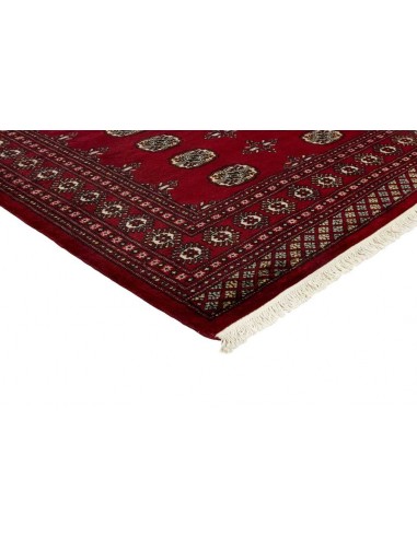 Hand made rug Bukhara fine Pakistan cm.173x245