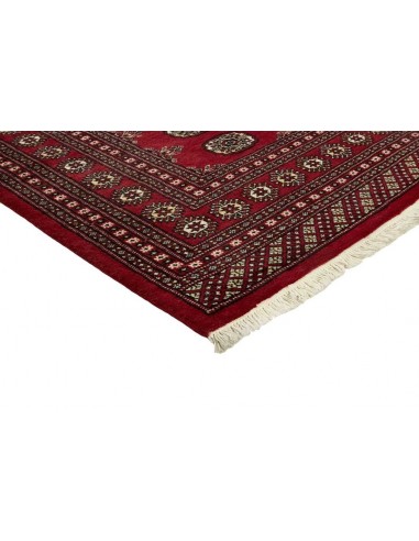 Hand made rug Bukhara fine Pakistan cm.171x247