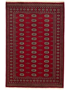Hand made rug Bukhara fine Pakistan cm.168x248
