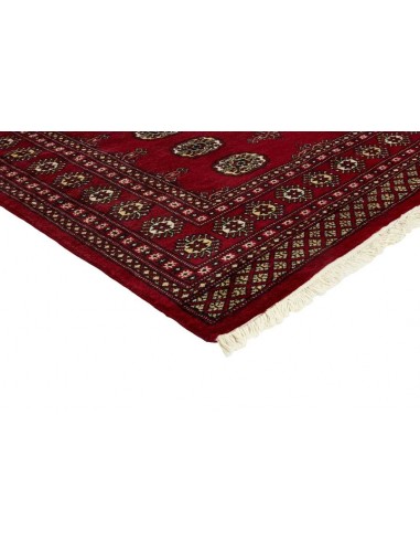 Hand made rug Bukhara fine Pakistan cm.168x248