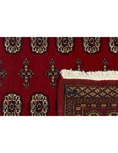 Hand made rug Bukhara fine Pakistan cm.169x249