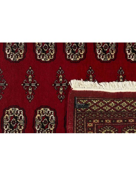 Hand made rug Bukhara fine Pakistan cm.169x249