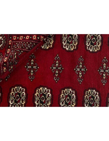 Hand made rug Bukhara fine Pakistan cm.169x249