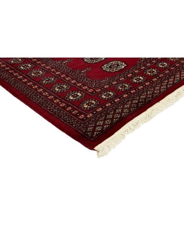 Hand made rug Bukhara fine Pakistan cm.169x249