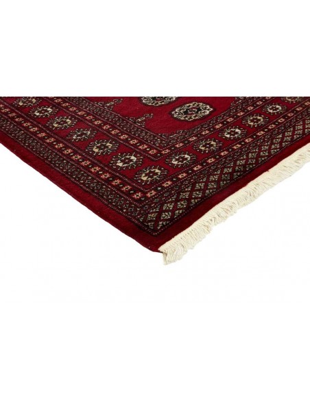 Hand made rug Bukhara fine Pakistan cm.169x249