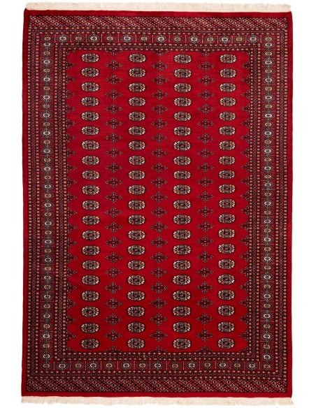 Hand made rug Bukhara fine Pakistan cm.201x291