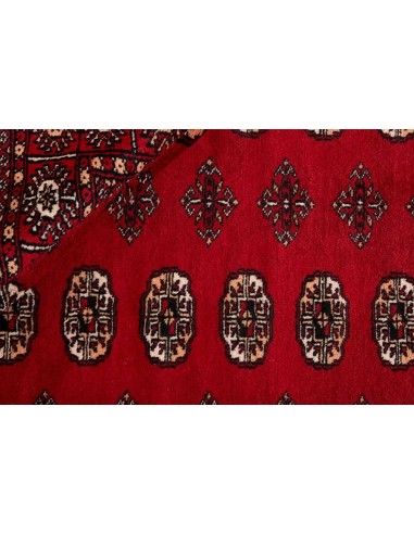 Hand made rug Bukhara fine Pakistan cm.201x291