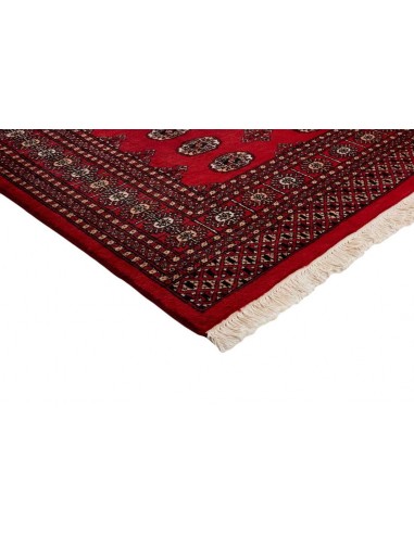 Hand made rug Bukhara fine Pakistan cm.201x291