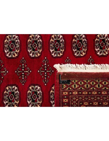 Hand made rug Bukhara fine Pakistan cm.197x317