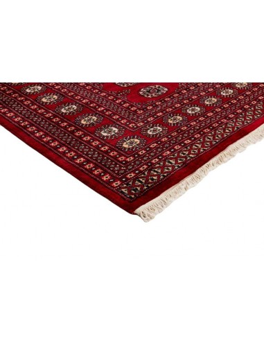 Hand made rug Bukhara fine Pakistan cm.197x317