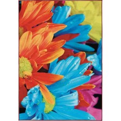 Carpet ARTEMISA SITAP RAINBOW 008 bambini da EUR 120.78