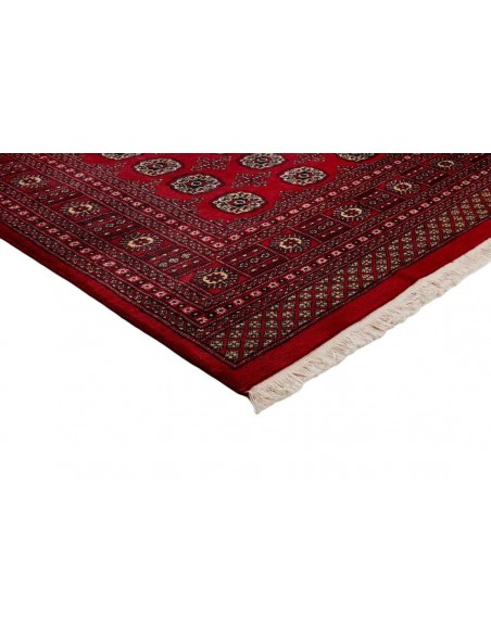 Hand made rug Bukhara fine Pakistan cm.201x322