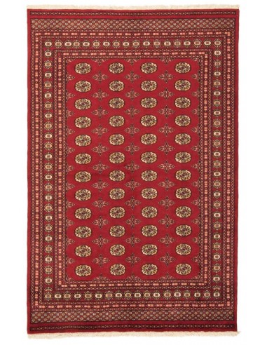 Hand made rug Bukhara fine Pakistan cm.167x256