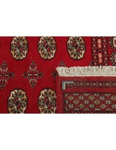 Hand made rug Bukhara fine Pakistan cm.167x256 2