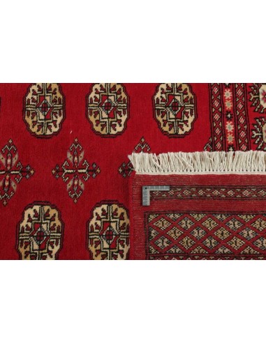 Hand made rug Bukhara fine Pakistan cm.167x256