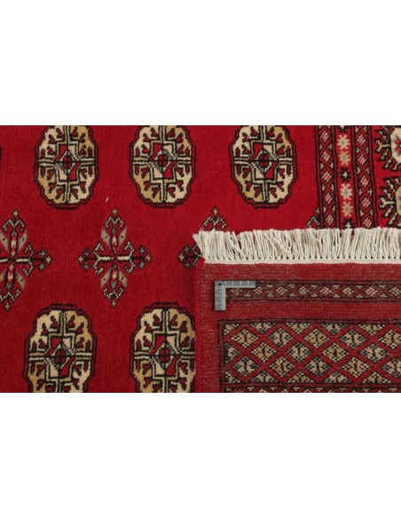 Hand made rug Bukhara fine Pakistan cm.167x256
