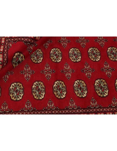 Hand made rug Bukhara fine Pakistan cm.167x256